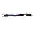 Mystic Kite Short Safety Leash - Navy/Red