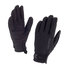 Sealskinz Waterproof Dragon Eye Sailing Gloves - Black